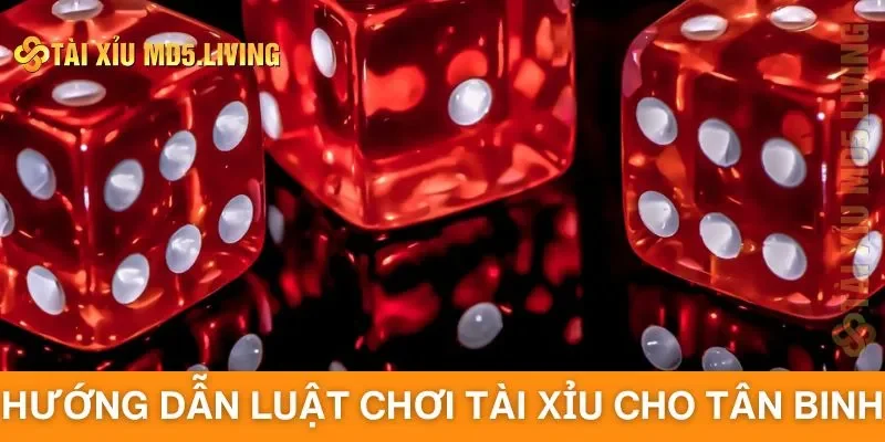 Hướng dẫn luật chơi tài xỉu cho tân binh