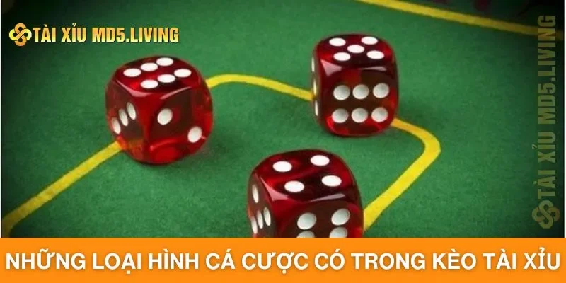 Những loại hình cá cược có trong kèo tài xỉu