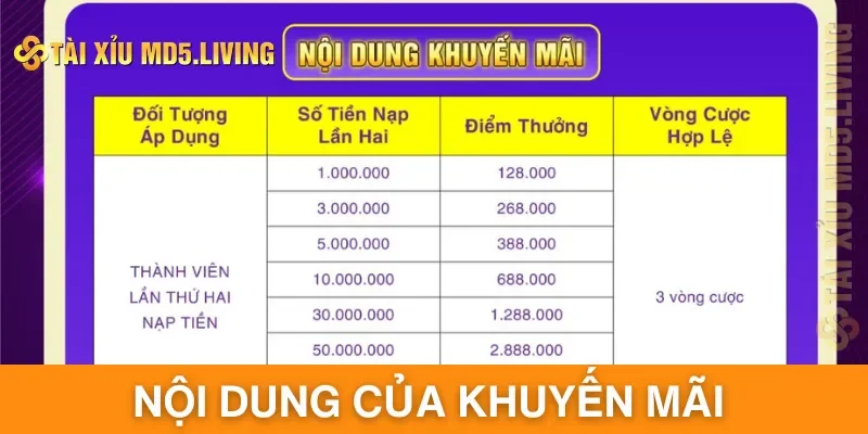 Nội dung quan trọng của khuyến mãi nạp lần 2 tại web