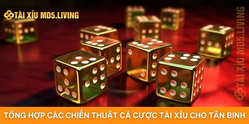 Tổng hợp các chiến thuật cá cược tài xỉu cho tân binh