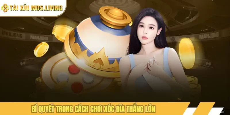 Bí quyết trong cách chơi xóc đĩa thắng lớn