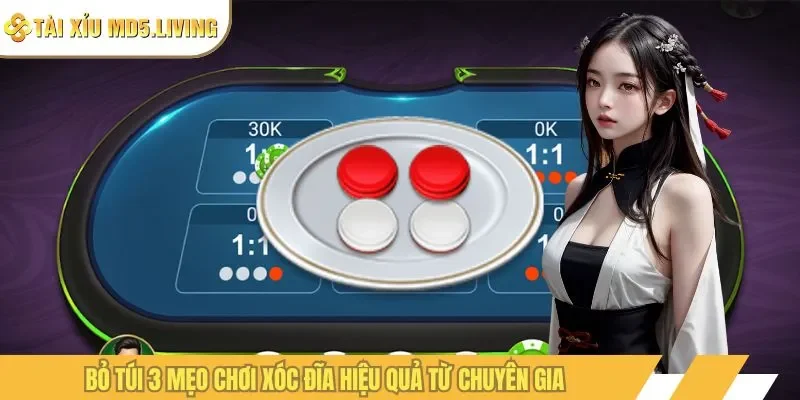 Bỏ túi 3 mẹo chơi xóc đĩa hiệu quả từ chuyên gia