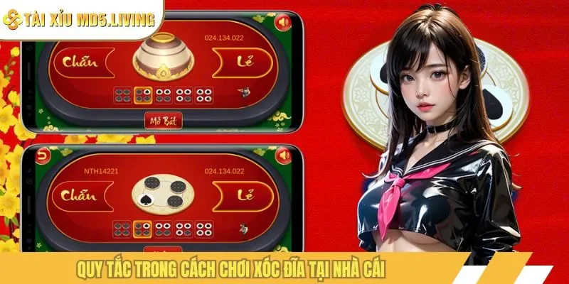 Quy tắc trong cách chơi xóc đĩa tại nhà cái