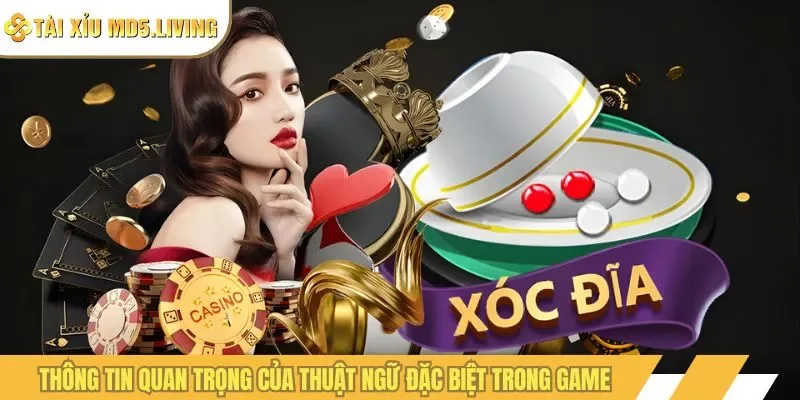 Thông tin quan trọng của thuật ngữ đặc biệt trong game