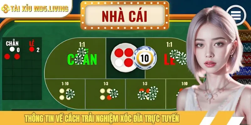 Thông tin về cách trải nghiệm xóc đĩa trực tuyến