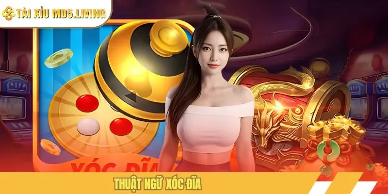 Thuật ngữ xóc đĩa
